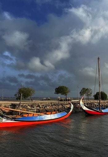 bateaux traditionnels portugais